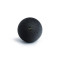 BLACKROLL® BALL 12