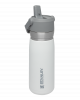 The IceFlow™ Flip Straw Water Bottle  .65L  22oz