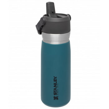 The IceFlow™ Flip Straw Water Bottle  .65L  22oz